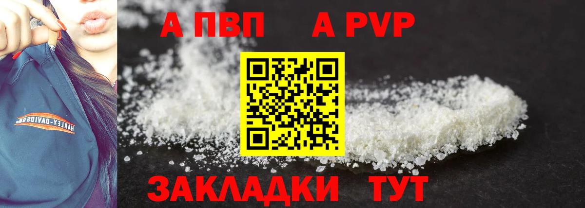 Альфа ПВП СК Котлас
