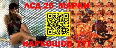 спайс Коммунар
