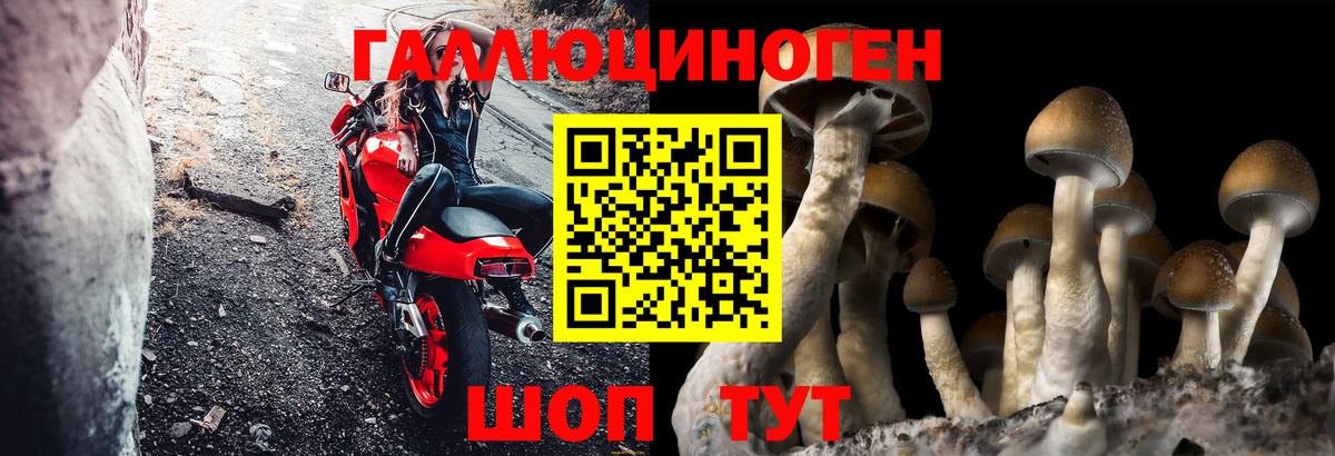 Котлас  Галлюциногенные грибы ЛСД  Вход с VPN 