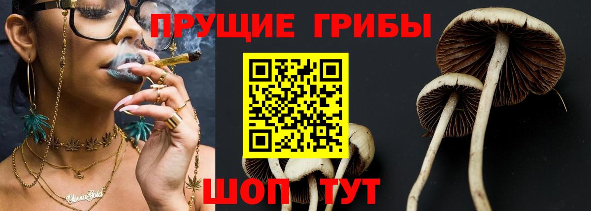 Галлюциногенные грибы GOLDEN TEACHER Котлас